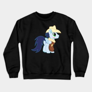 C'mon Baby, Cry just Soarin Crewneck Sweatshirt